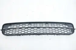 VOLVO S80 II Front Bumper Grille 30678421 30744113