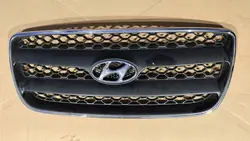 Front Bumper Grill Hyundai Santa Fe II 06-10