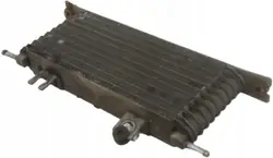 US233 Renault Koleos II 2.0DCi Öljynjäähdytin 216069733R