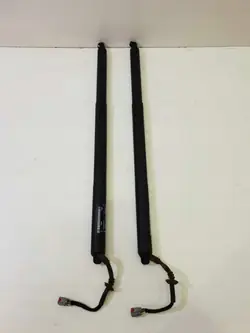 Ford Puma MK2 bakluckaktuatörer OEM L1TB-S404C84-AA