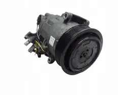 Compressore AC 8200956574A Renault Scenic III 1.9 DCI