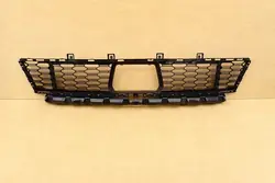 BMW 1 F40 Frontstoßstangen-Gitter 51118070941 OE