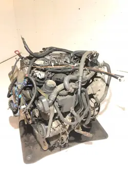 Begagnad Mercedes-Benz OM646982 Dieselmotor