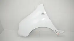 Aile avant gauche OEM 360185159 pour Renault Kangoo II