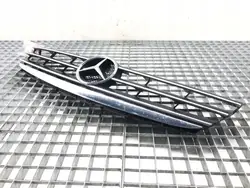 Griglia MERCEDES W169 2004-2012 A1698801483