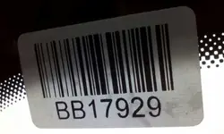 OEM 2499AGACMUVZ1L Framruta BMW 4 G22/G23