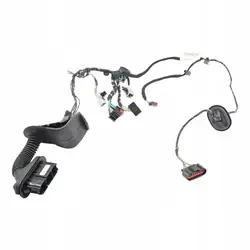 Harness Puerta Delantera Derecha Ford Fiesta Mk7 3P C1BT-14A584-DBG