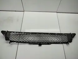 Frontstoßstangen-Gitter Mercedes W246 A2468851122