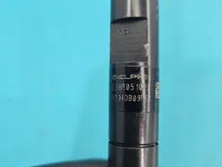Injecteur Delphi testé EJBR05102D pour Renault Kangoo