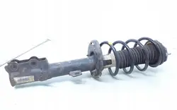 Ammortizzatore anteriore con molla per Ford Ecosport 2015 MFN1C18B037BB