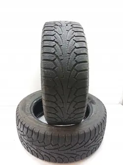 2x Gold Gum ALP RSI Neumático Invierno 205/55R16 2022
