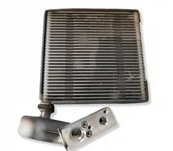 OEM 52410542 Klima-Expansionsventil für Renault Laguna III