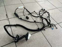 TESLA MODEL Y 20- FIOS PORTA TRASEIRA ESQUERDA 1489053-00-E