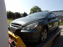 Silenzioso centrale Peugeot 307 CC Cabriolet 2.0B OEM
