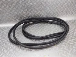 Junta de puerta delantera derecha FORD NOWINY Ford Ranger Raptor