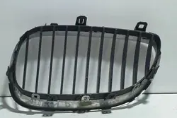 Griglia BMW 5 (E60) 2006