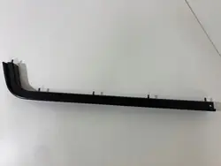 Guía de Ventana OEM CHRYSLER PACIFICA 18+ Puerta Trasera Izquierda