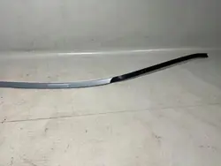 Porsche Panamera taklist vänster OEM 97055940100