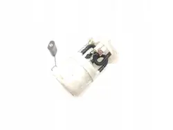 Pompe à carburant Dacia Sandero II Stepway 172021904R