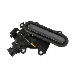Puxador Porta Traseira Esquerda OEM 69204-F4010 Toyota C-HR