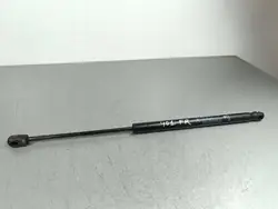 2018 Dodge RAM VAN Hood Actuator 7798ZZ