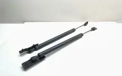 Verin Droit de Coffre OEM 7177648 pour BMW Serie 7