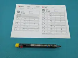 Testad insprutare OEM EJBR01001A för Citroen C3 1.4 HDI