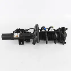 Amortiguador Delantero Derecho OEM 54661-S0600