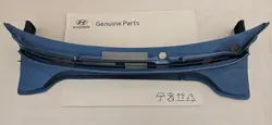 Panel de parabrisas plástico OEM 654564 Hyundai Kona 17-22