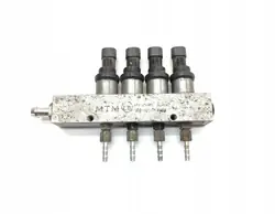 Rampe d'injection GPL BRC OEM 09SQ99020012
