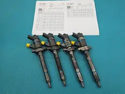 Geprüfter Injektor Komplett Peugeot 3008 I 1.6 HDI 0445110259