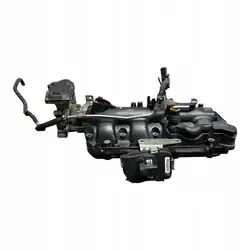 Coletor de admissão Opel Insignia A 2.0 CDTI 55571993