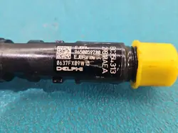 Injetor testado Citroen C3 I 1.4 HDI OEM EJBR01001A