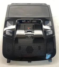 OEM 1D111-319G Luz LED Consola Techo Lexus NX
