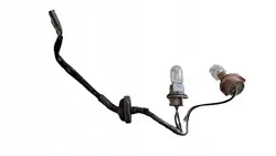 Kablage Bakljus Höger OEM 1024 Honda Civic VIII