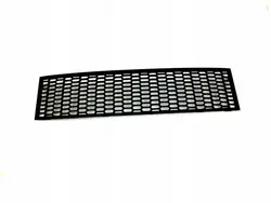 BMW Frontstoßstangenmitte Grill 5 F10 M-Paket OEM