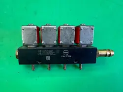 Inyectores LPG + Rail Valtek OEM 10R-030268
