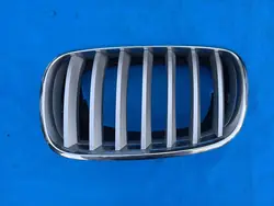 Front Left Bumper Grill BMW X5 E70 X6 E71 OEM 7185223