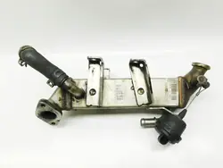 Enfriador de escape 8200719993 - Renault MEGANE SCENIC III 2.0 DCi