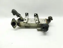 Enfriador de escape 8200719993 - Renault MEGANE SCENIC III 2.0 DCi