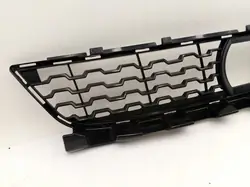 BMW Frontstoßstangen-Grill 51118075370