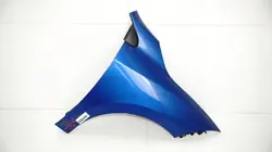 Vorderer rechter Kotflügel OEM 360153179 für Renault Megane III