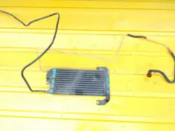Renault Trafic III bränslekylare OEM 175104049R