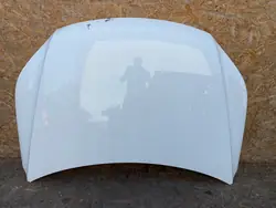 VW Tiguan 5N0 Motorhuv Original 5N0823031D