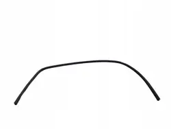 DODGE CHALLENGER 2015- Dichtung vänster dörr