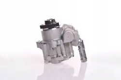 ESEN SKV 10SKV166 Pompa servosterzo