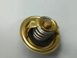 Volkswagen OE 03G121113 Termostaatti, Jäähdytysjärjestelmä