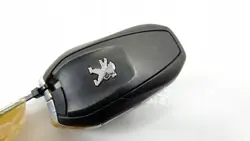 Mando Peugeot OEM 2011DJ1873 - Estado Usado