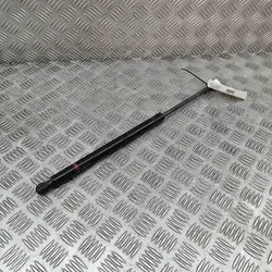 Support de hayon gauche Chevrolet Trailblazer (KC_) OEM 15120902