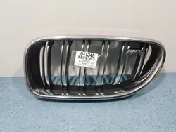 Left Grill 51138050537 BMW M6 F06